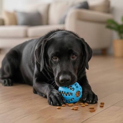 Cozy Cocoon -  Balle à Friandises Interactive™