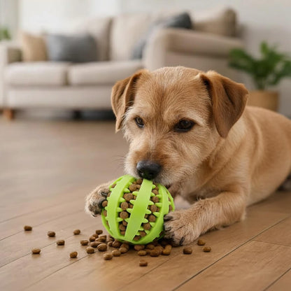 Cozy Cocoon -  Balle à Friandises Interactive™